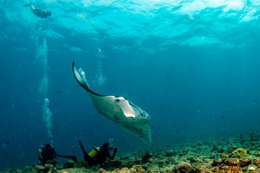 Similan Islands