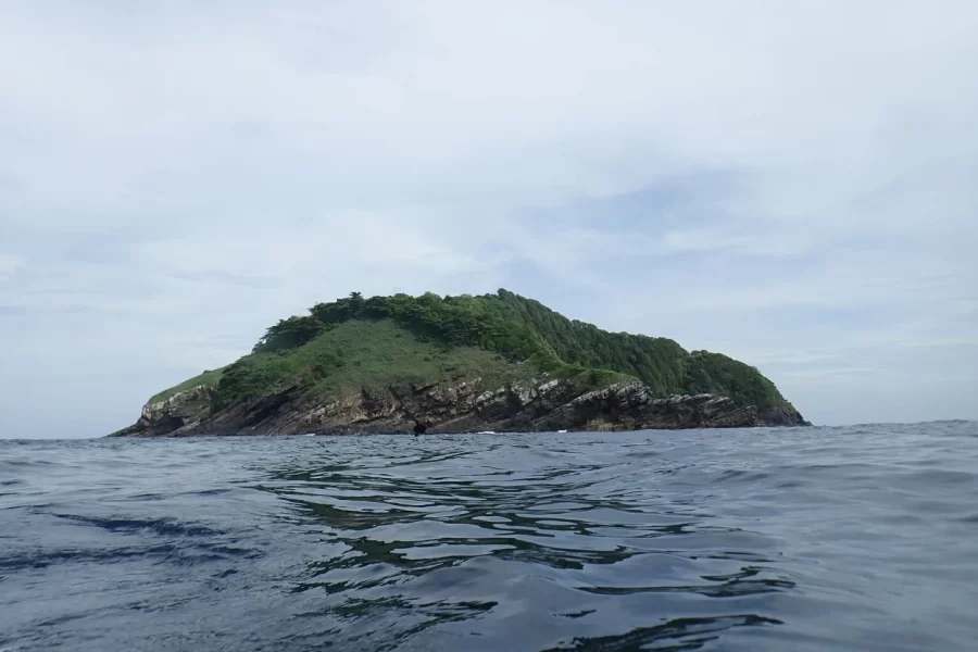 Koh Bon